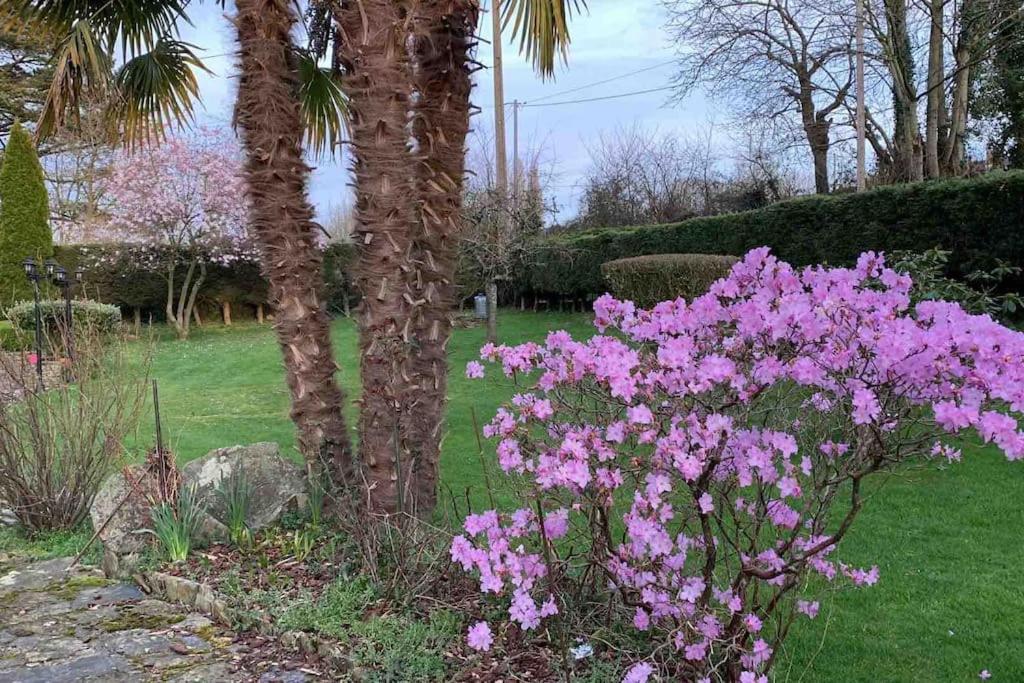 Le Nalousie Βίλα Livry  Εξωτερικό φωτογραφία